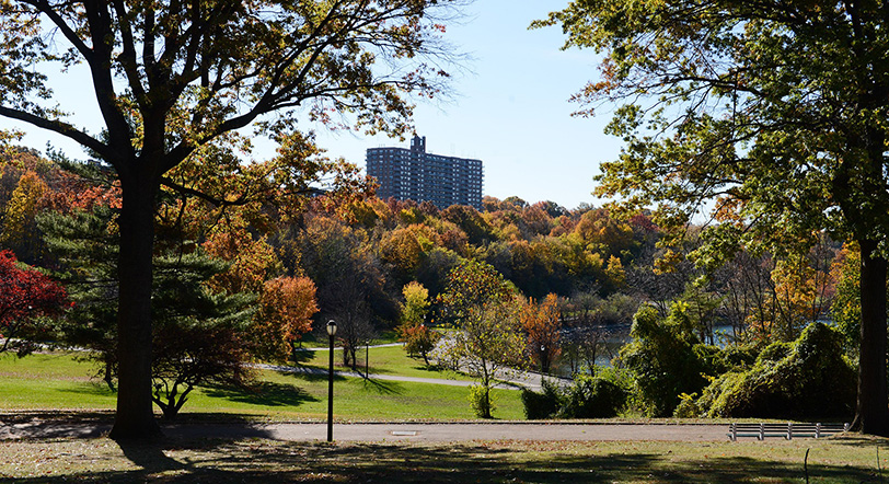 fall foliage at Silver Lake Park, Staten Island