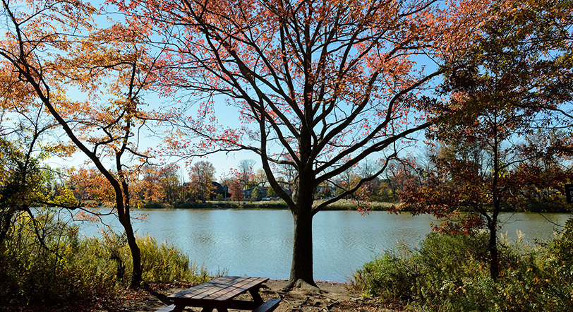 fall foliage at Wolfe's Pond Park, Staten Island