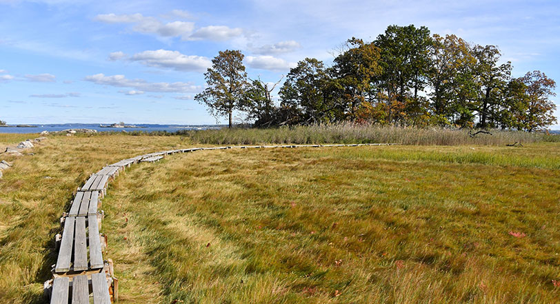 fall foliage in Pelham Bay Park, Bronx