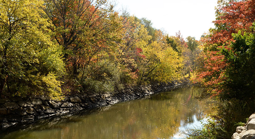 fall foliage at Bronx River Greenway, Bronx