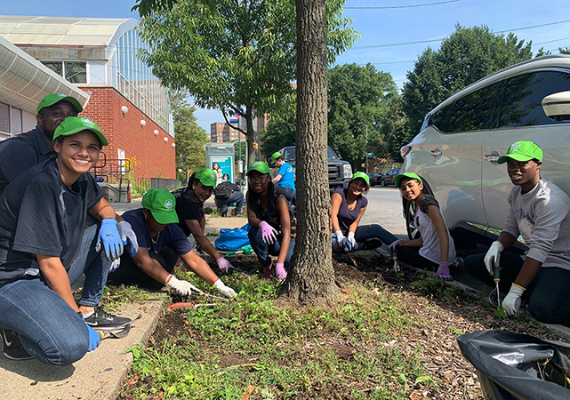 Street Tree Care Captains organize neighbors and friends to care for street trees so that they                      can care for us.