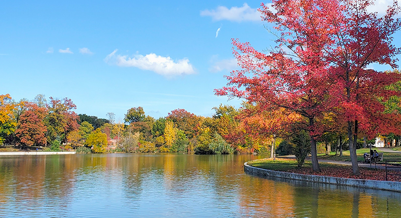 fall foliage at Kissena Park, Queens