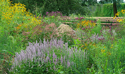 Pollinator Place Gardens