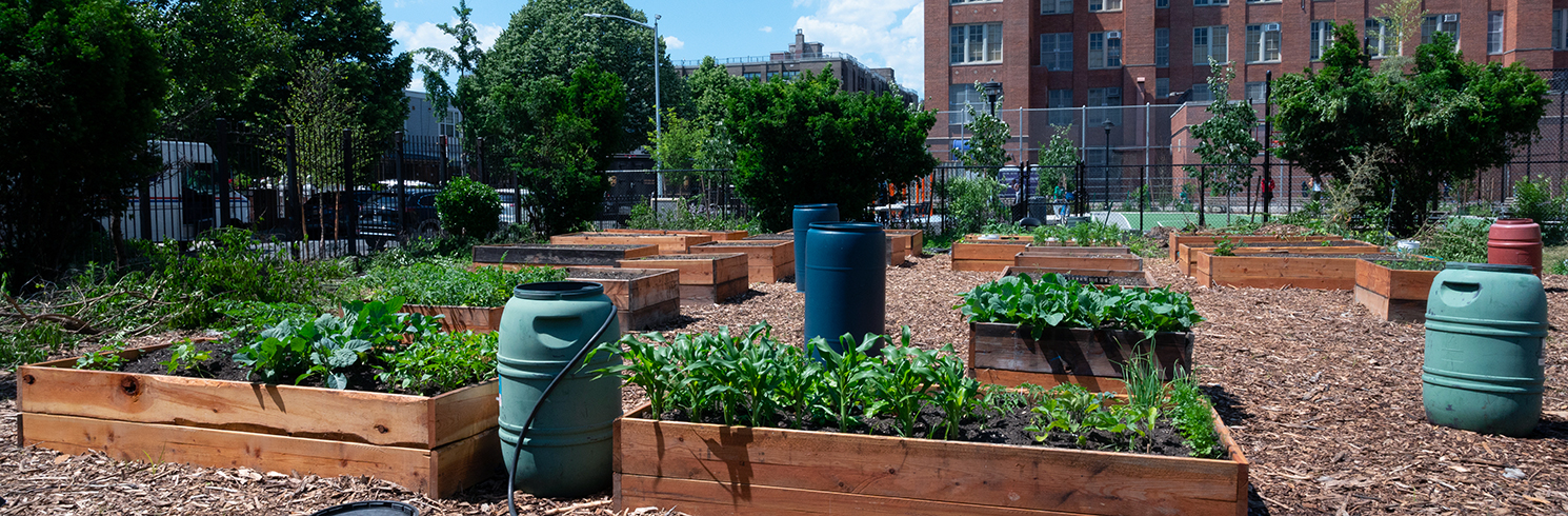 plant beds in a garden