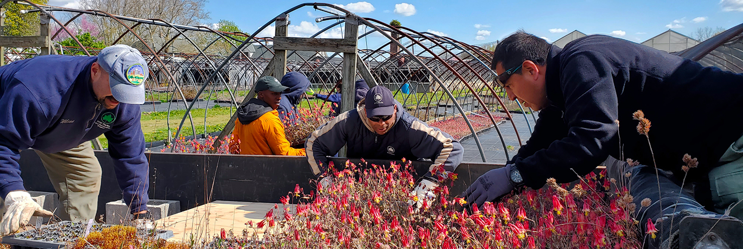 parks workers work with flower beds on top of a truck that are ready to be planted