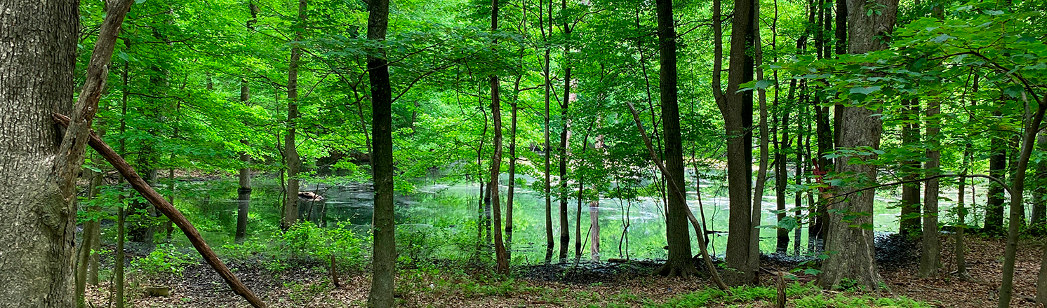 Arden Woods hiking trails