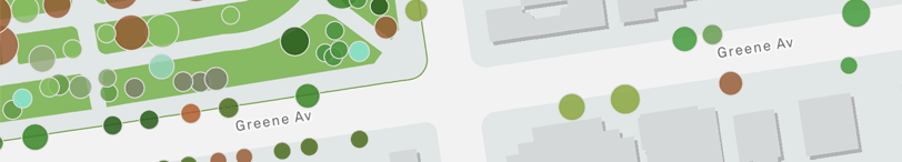 Detail of trees on NYC Tree Map