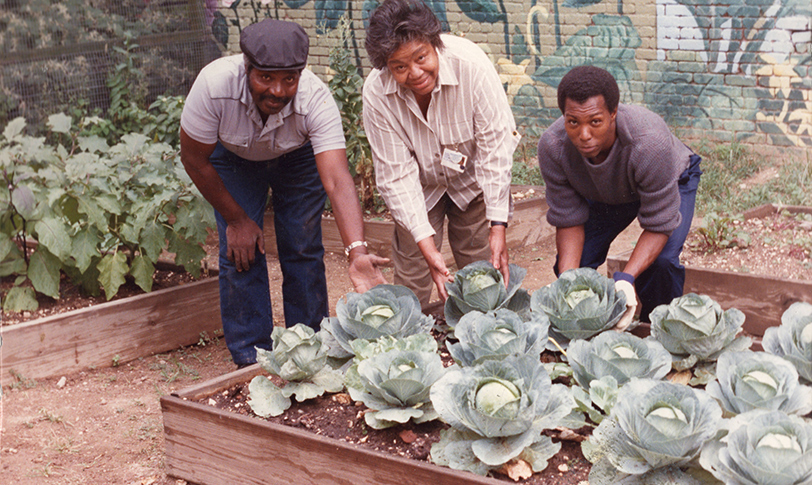 GreenThumb Main Page : NYC Parks