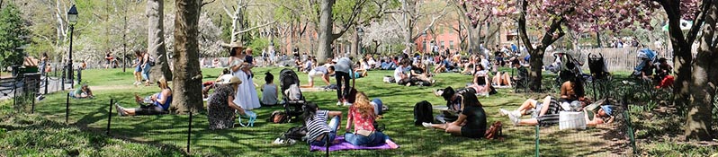 A large group of people relax in a park on a sunny day.