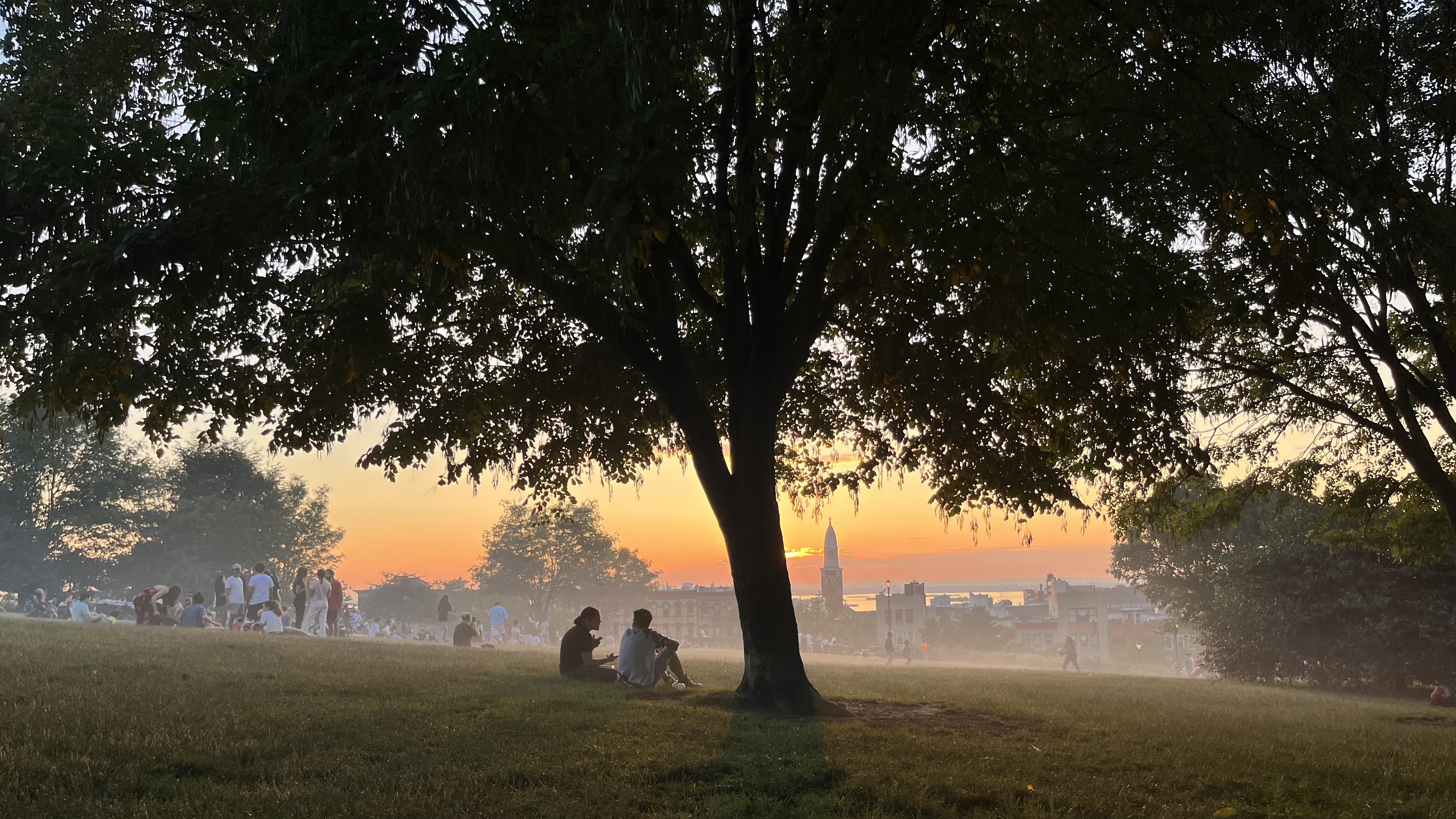 parkgoers sit under a large tree at sunset