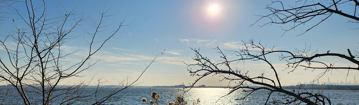 Soundview Park hiking trails