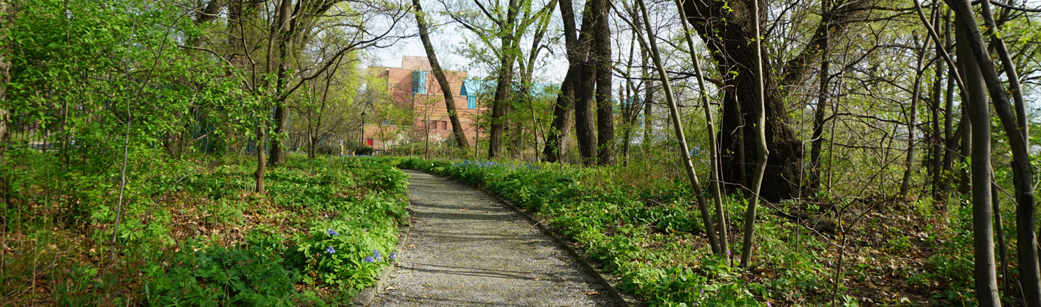 Sherman Creek Park hiking trails