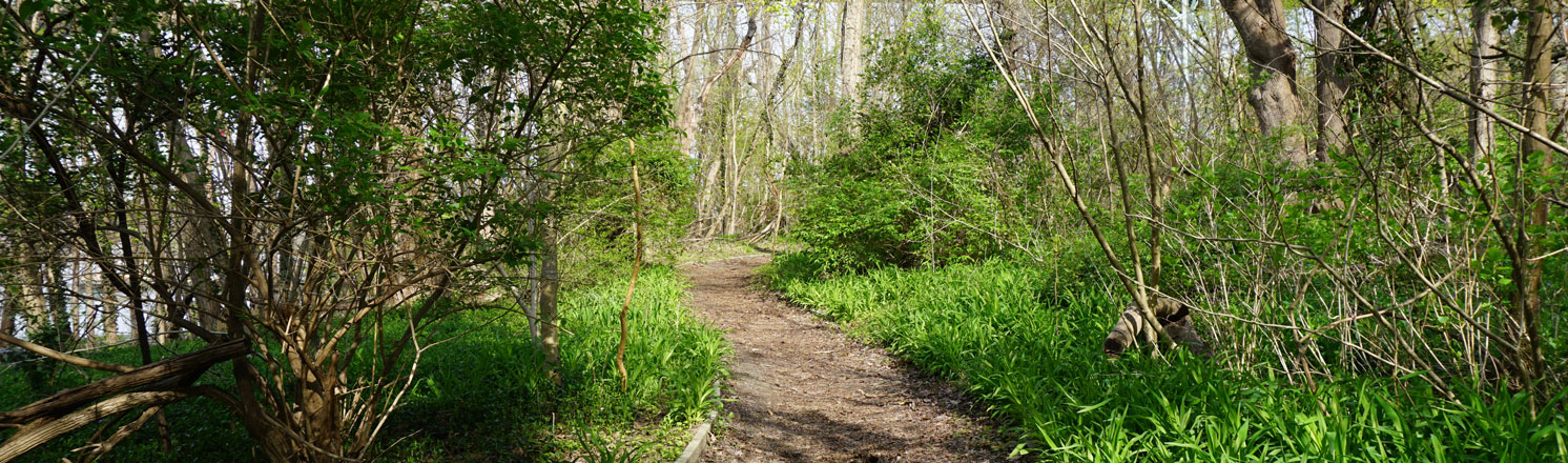 Spuyten Duyvil Park hiking trails