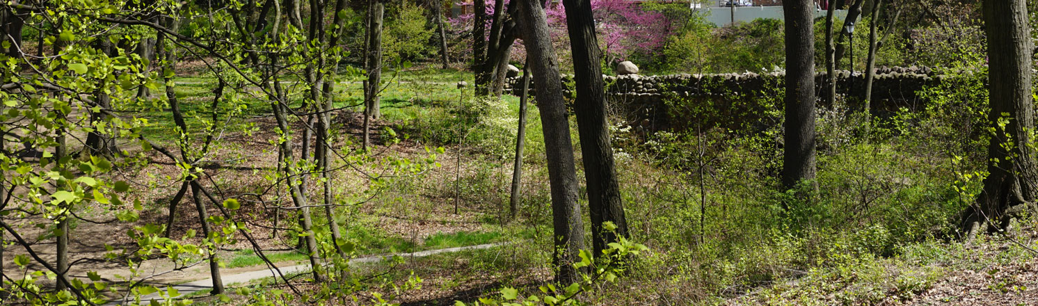 Highland Park hiking trails