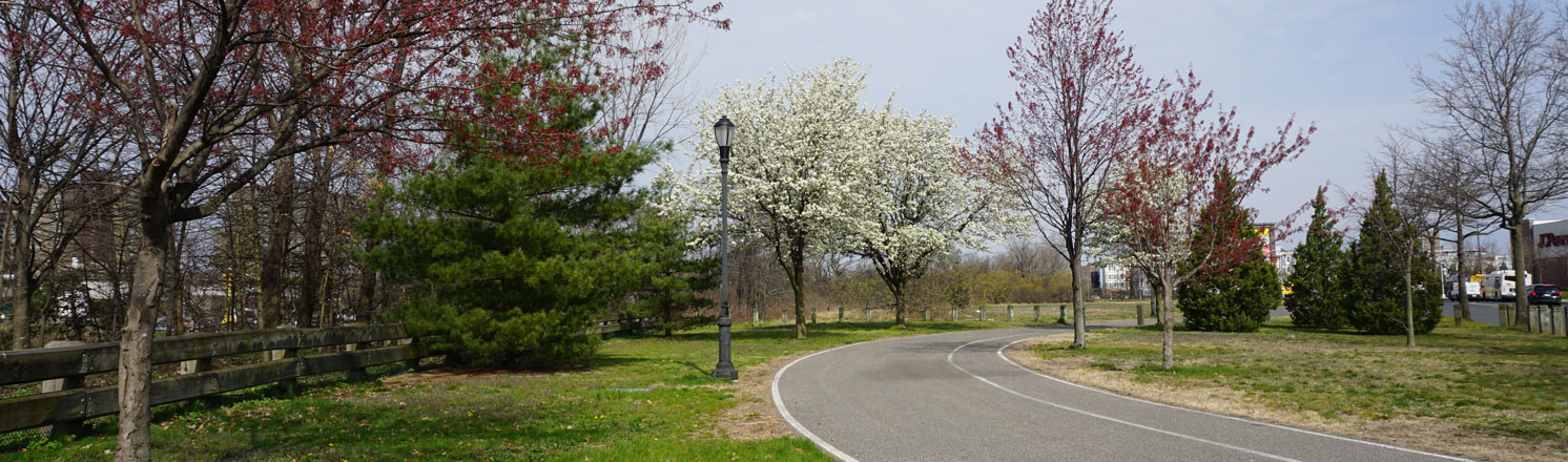 Spring Creek Park hiking trails