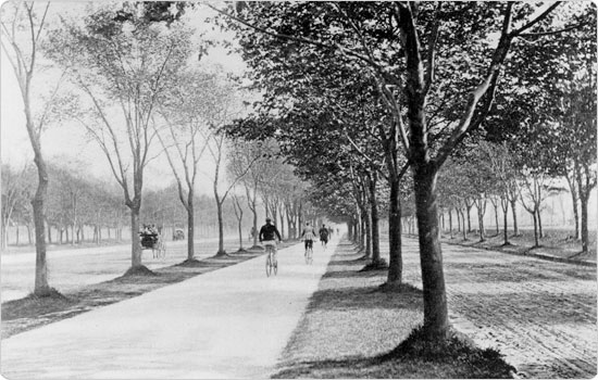 Image of Ocean Parkway bicycle path, circa 1894. Neg. AR1099