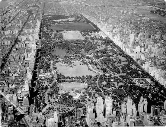 Image of 24, 1938 aerial view of Central Park. Neg. 14257