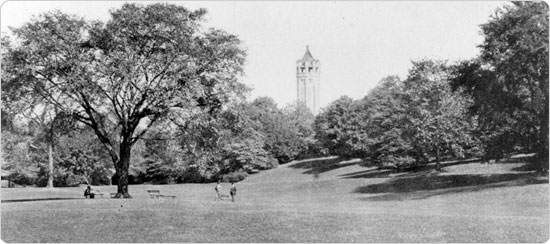 Image of The Long Meadow in Prospect Park, looking north, circa 1897. Neg. AR1242