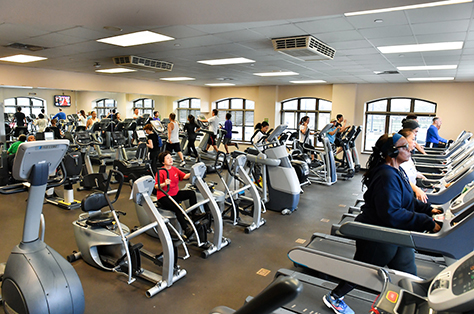 People workout on a variety of cardio machines inside a fitness room