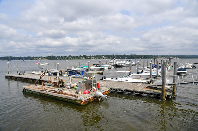 Rows of boats docked at a marina.