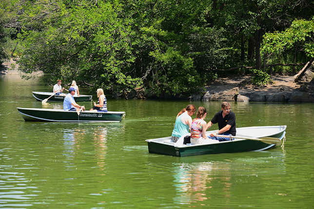 Groups of people rowing paddleboats in Central Park's lake.