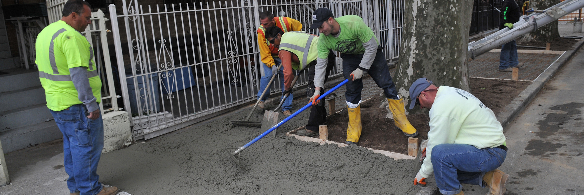 A crew of workers spreads sidewalk concrete around a tree bed.