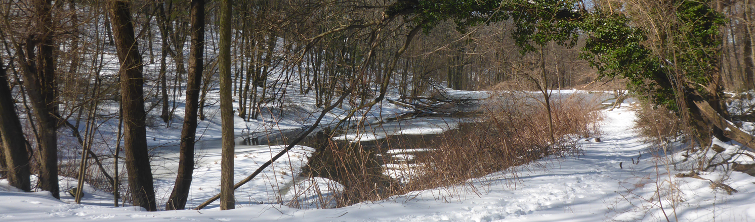 Goodhue hiking trail