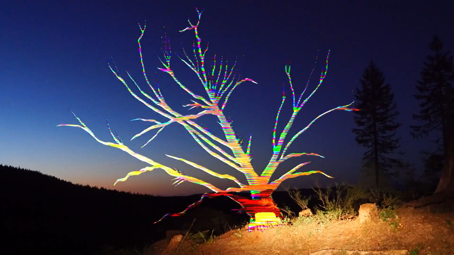 A video still showing the shape of a tree in pixels and lines on a sunset background.