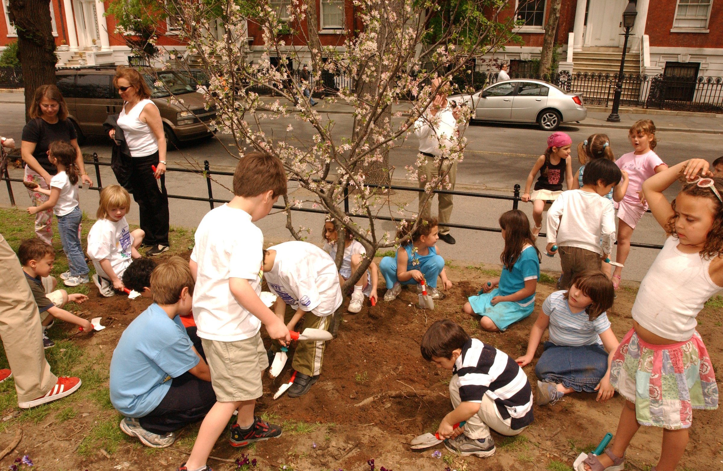 Children gather around a tree and tend to its soil