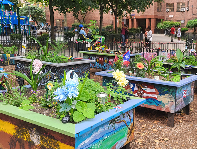 Raised garden beds