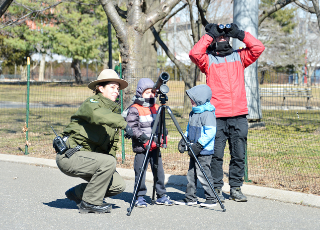 An Urban Park Ranger kneels next to two children looking through a telephoto lens while nearby their
          parent looks up through binoculars.