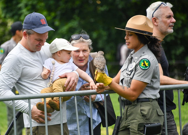 An Urban Park Ranger holds a juvenile red-tailed hawk up to a family, including a baby looking at the
          bird with attention.