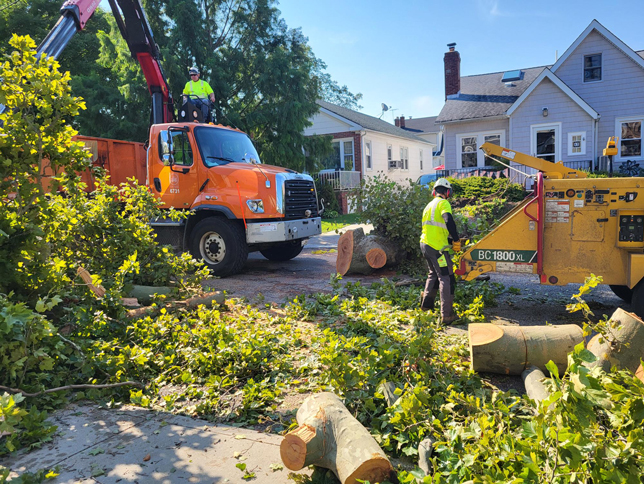 storm damage