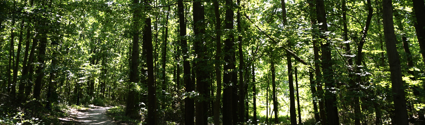 bloomingdale park