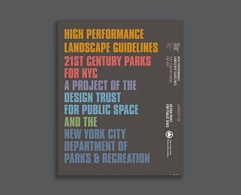 Cover of the publication Design and Planning for Flood Resiliency