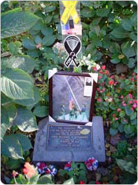 An image of Madison Square Park?s Freedom Tree marker proves even the most modest veteran monument can be the object of veneration.