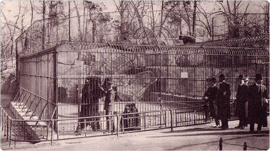 An image of bear dens from ?The New York Zoological Park Book of Views,? published by the New York Zoological Society in 1906.