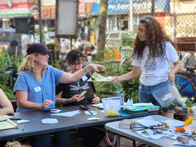 attendees at a garden workshop