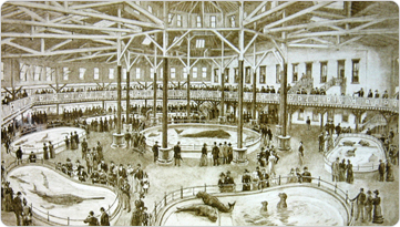 An early rendering of the New York Aquarium.