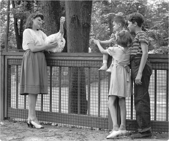 Mrs. Aaron White shows gathered children a turkey at the Bronx Park Zoo Farm, July 15, 1942. Courtesy of Parks Photo Archive, Neg. 21694.