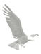 Image of a flying eagle