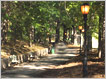 Pathway in St. Nicholas Park