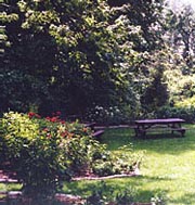 image of garden