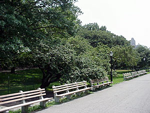 image of walk and benches