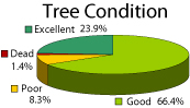 pie chart