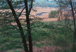 Alley Pond Park in Queens