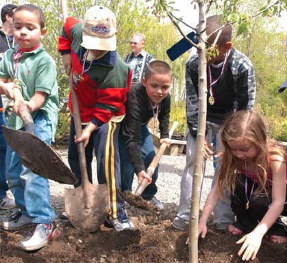 Children plant a tree on Green Day