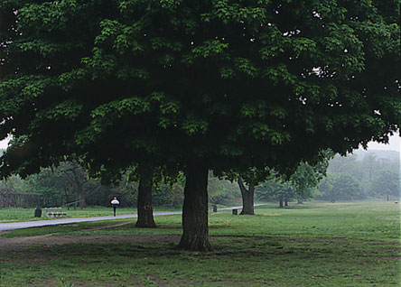 Cover Photograph for the biennial report 1998- 1999