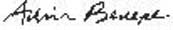 Adrian Benepe's signature