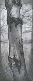 Urban Woodlands: Drawings by Mary Reilly